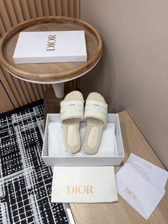 Dior Shoe 